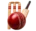 cricket betting